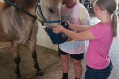 393966655_1753637318409667_5877178073228684449_n