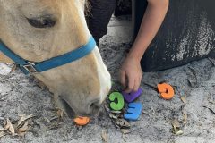 394118500_883168983244738_7889384124257703802_n-scaled