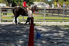 394394861_289325884064751_3864710112129147490_n-scaled