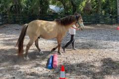 394534477_258566083378247_6468064285061949533_n